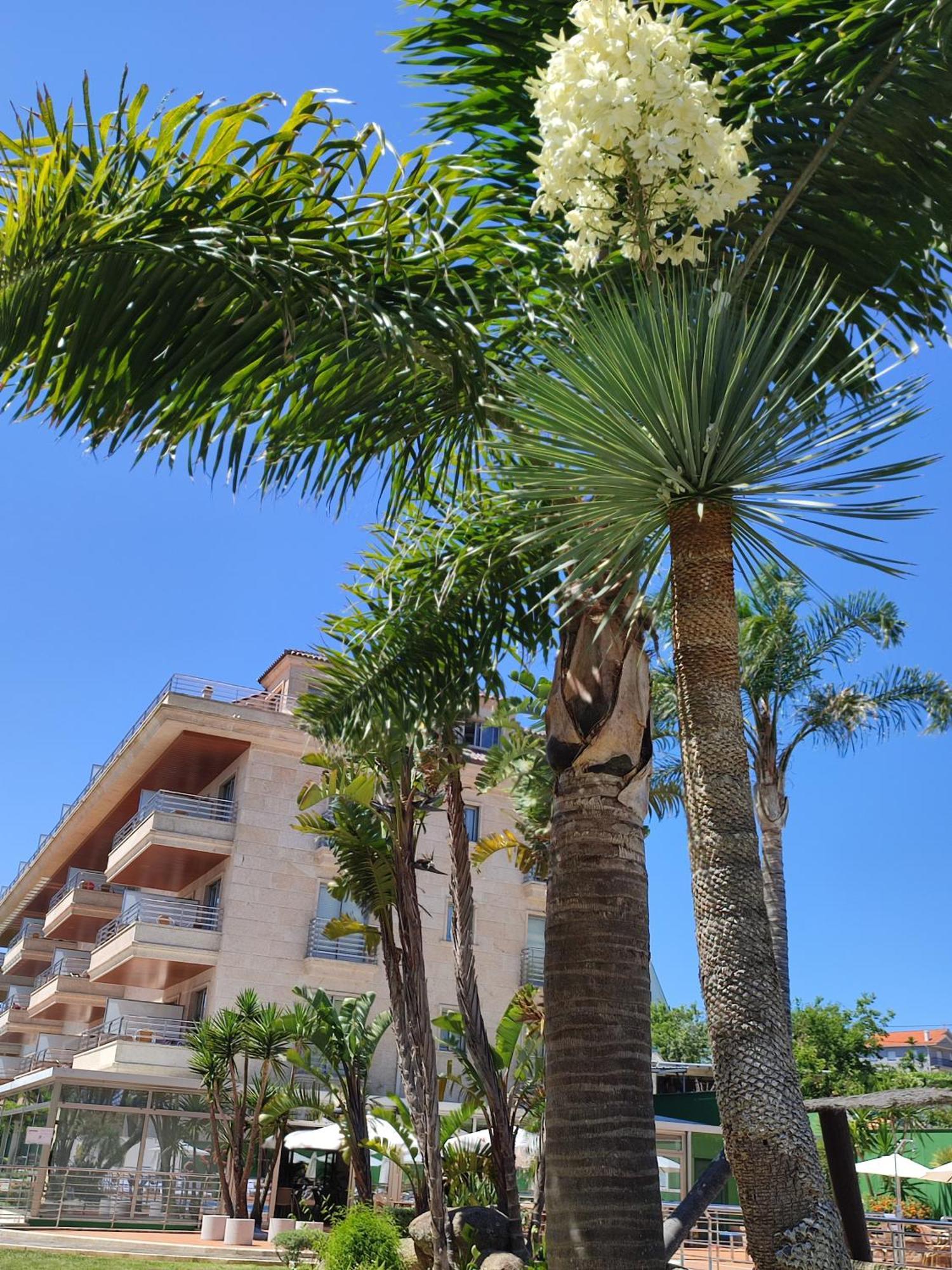 Apartamentos Marsil Montalvo Esterno foto
